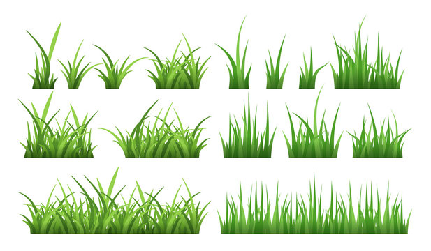 Nature illustrations of green field grass. Vector set isolate on white