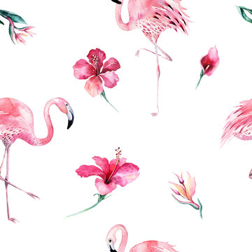 Tropical isolated seamless pattern with flamingo. Watercolor tropic drawing, rose bird and greenery palm tree, tropic green texture, exotic flower. Aloha set