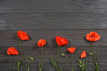 Fototapeta na wymiar red poppy flowers on dark wood background. top view with copy space
