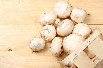 mushrooms on light wooden background. top view with copy space