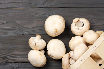 mushrooms on dark wooden background. top view with copy space