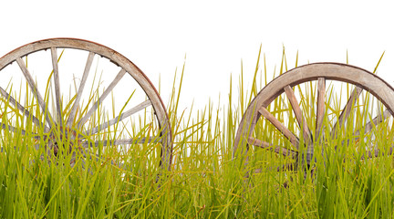  roues en bois parmi les herbes, fond blanc