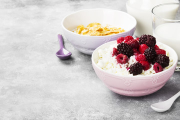 Cottage cheese in bowl with frozen raspberry and blackberry and milk in glass on a light background. Copy space. Food background