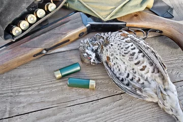 Foto op Canvas Grouse and gun on board © kostrez