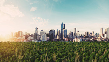 Modern buildings in the city with forests in sunrise