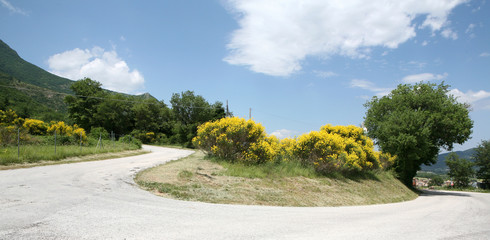 Strada di campagna