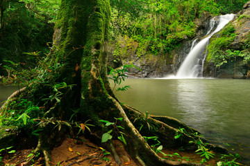 Naklejka na ściany i meble Secret waterfall in rain forest of Thailand : Jet-Kod