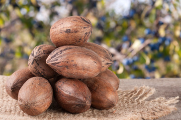 a bunch of pecan nuts on a wooden background with burlap and blurred garden background