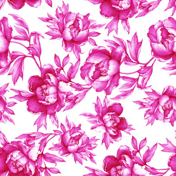 Vintage floral seamless pink monochrome pattern with flowering peonies, on white background. Watercolor hand drawn painting illustration. Isolated. Design for fabric, wrap paper or wallpaper.
