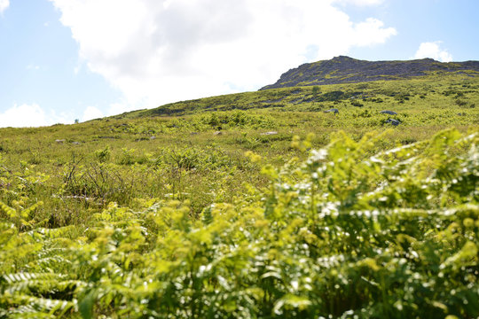 Angel Mountain, Newport, Dyfed, Wales.
