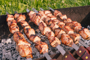 meat on skewers on fire