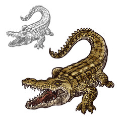 Crocodile alligator vector isolated sketch icon - obrazy, fototapety, plakaty