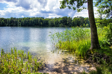 Landscape with beautiful pond in the summer - clear blue water and shore with sand. 