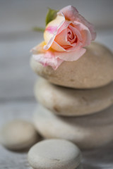 composition of spa treatment on white wooden