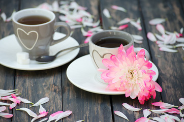 Hot tea with sweet chrysanthemum petals