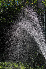 watering of a garden
