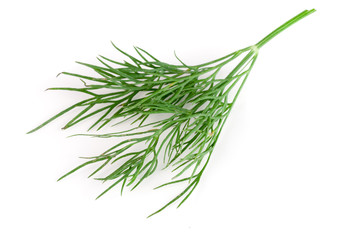 Fresh green dill isolated on white background