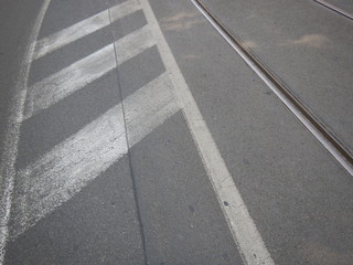 Fototapeta premium white line on an asphalted road