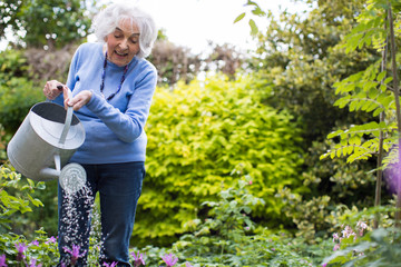Naklejka na ściany i meble Senior Woman Watering Flowers In Garden