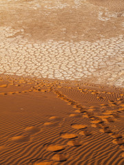 Big Daddy dune in the Namib Naukluft National Park, Sesriem, Namibia