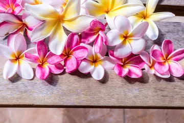 Zelfklevend Fotobehang Plumeria flower pink and white frangipani tropical flower, plumeria flower bloominge, spa flower, Bali island. © belart84
