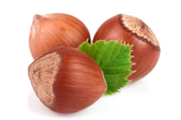 Hazelnuts with leaves isolated on white background