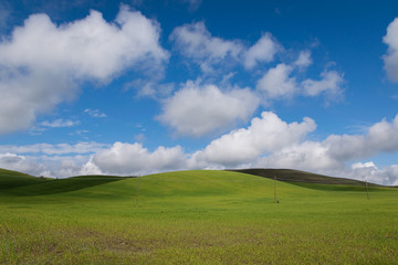 Nuvole sulle colline verdi