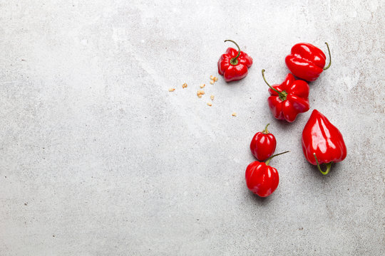 Czerwona papryka chili