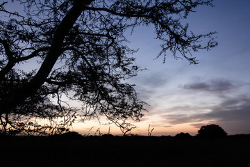 African sunset in Zululand
