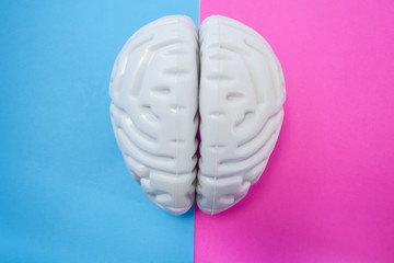 The figure of human brain separates half blue pink background. The concept of male and female...