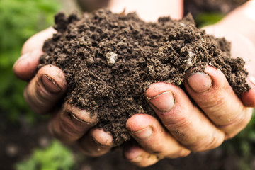 hands with pile of ground