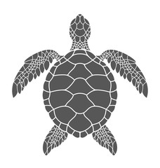 Obraz premium Żółw morski