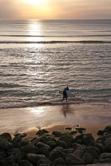 surfer at the beach at sunset