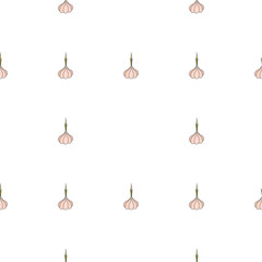 Garlic hand drawn on white background. Hand drawn seamless ornat
