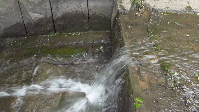 Zoom in stream water in the park. FHD realtime video