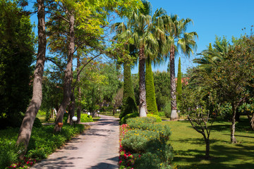 Quiet walkway into tropical garden