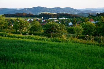 Fototapeta na wymiar Landscape with mountain, tree, fresh field, meadow and small village. (Lačnov, Moravia, Czech republic).