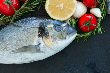 Fresh raw dorado fish with rosemary, garlic, tomatoes, pepper and lemon on a black slate background. Selective focus. Overhead view. Copy space.