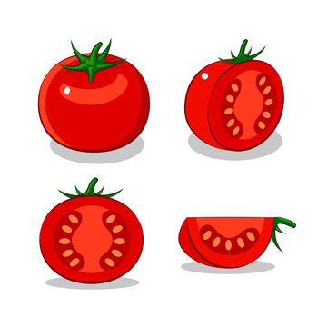 painting tomato, vector