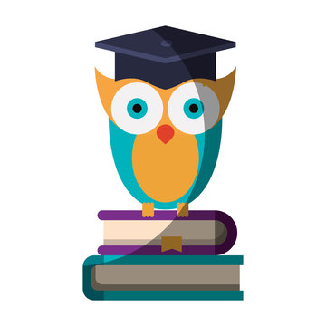 realistic colorful shading image of owl knowledge with cap graduation on stack of books vector illustration
