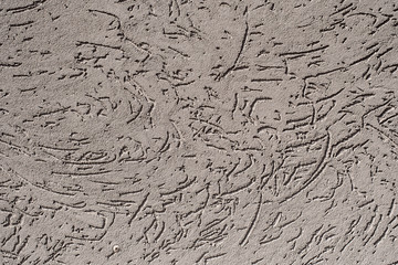 Background gray textured wall from a stone