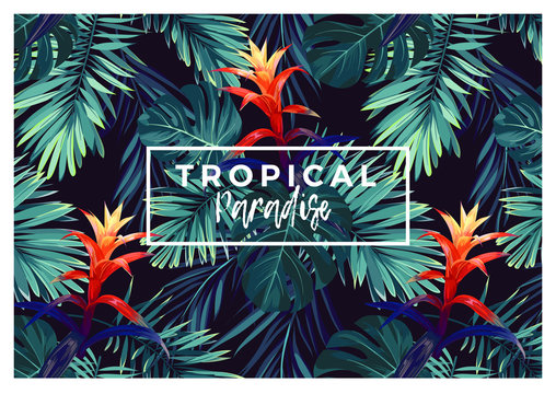 Floral horizontal postcard design with guzmania flowers, monstera and royal palm leaves. Exotic hawaiian vector background.