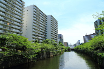 Fototapeta na wymiar 目黒川沿いのマンション風景