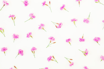 Pattern made of pink flowers on white background. Flat lay, top view. Summer flowers