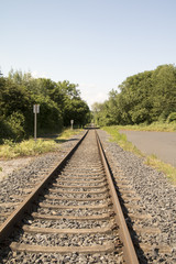 Eisenbahnschiene gerade leer mit Bäumen verlassen