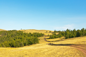 Fototapeta premium Baikal. Typical for Olkhon Island is a steppe landscape with coppices. A dirt road leads to Khoboy cape