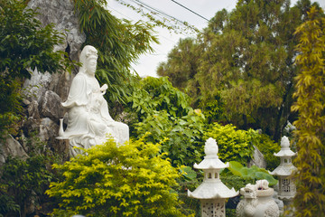 Chua Phap Bao buddhist temple with little bonsai tree in yard.