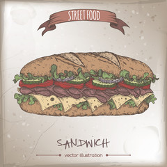 Sandwich color sketch on grunge background.