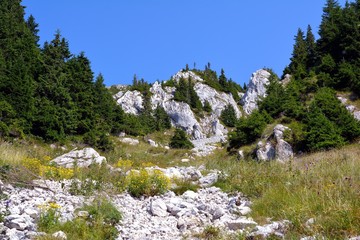  Carpathians landscape: on a mountain ridge during summer time