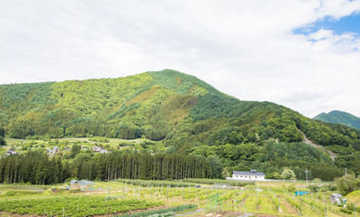 Fototapeta na wymiar Beautiful landscape of Takayama mura at sunny summer or spring day and blue sky in Kamitakai District in northeast Nagano Prefecture Japan.